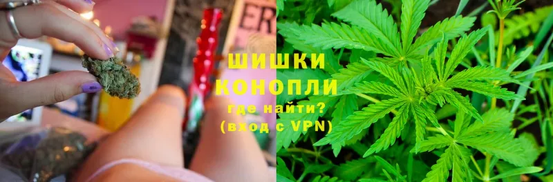 цена наркотик  Карачев  Конопля SATIVA & INDICA 